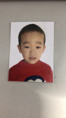 失踪人员：贺嘉易