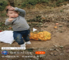 失踪人员：张鑫哲